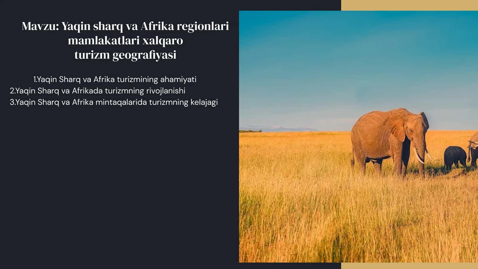 Yaqin sharq va Afrika regionlari mamlakatlari xalqaro turizm geografiyasi