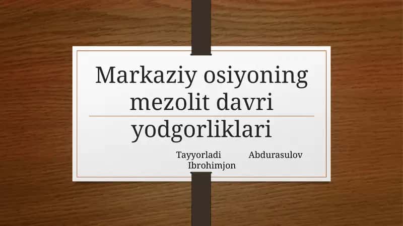 Mezolit davri manzilgohlari