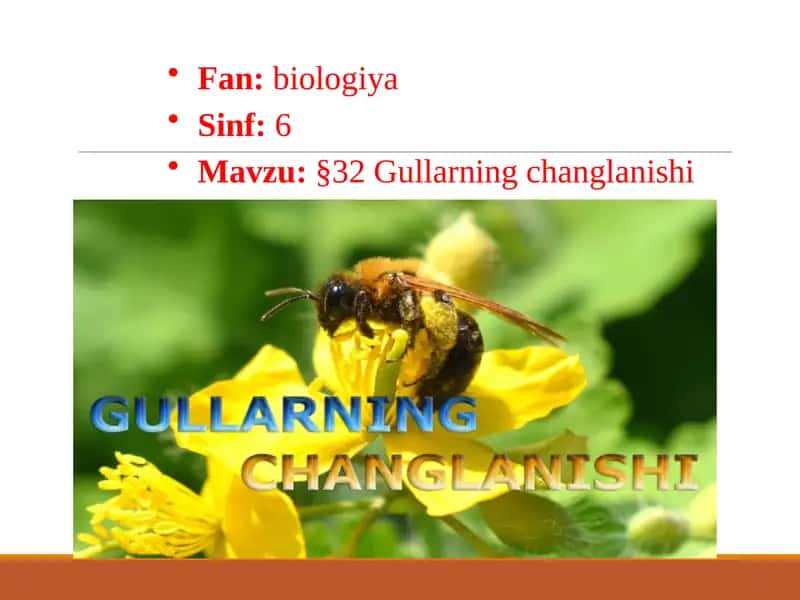 Gullarning changlanishi