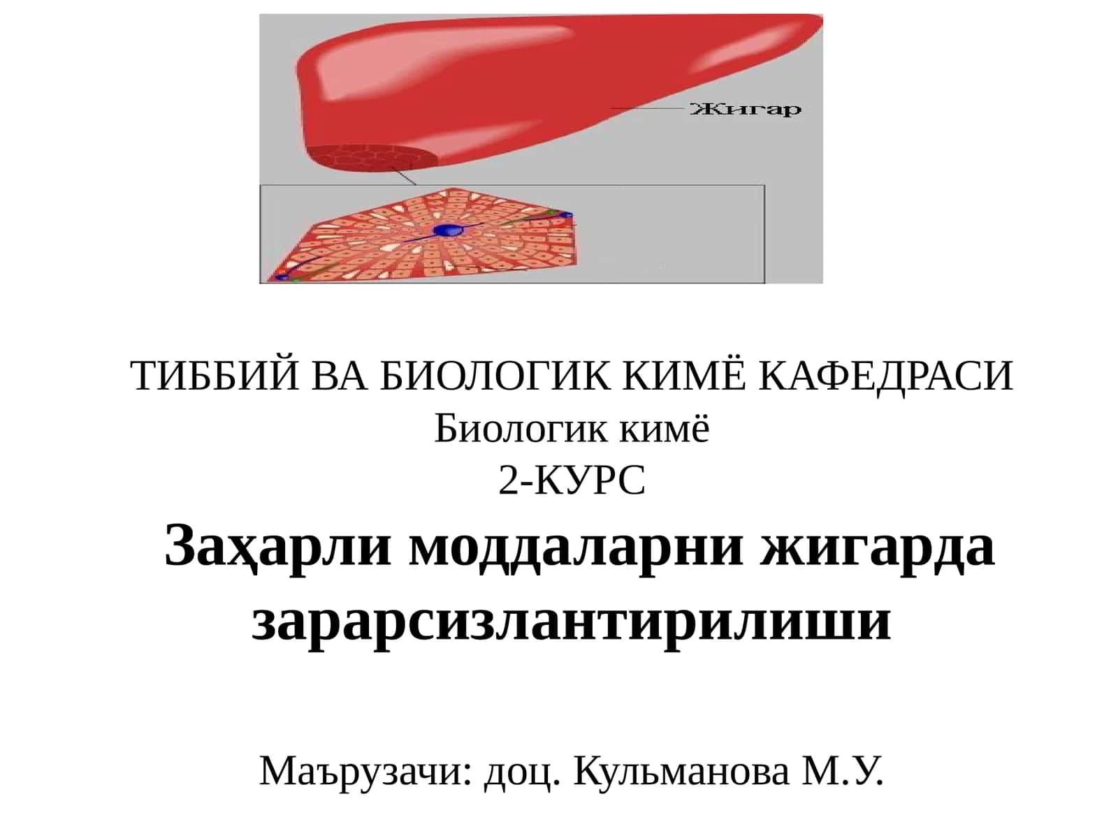 Заҳарли моддаларни жигарда зарарсизлантирилиши