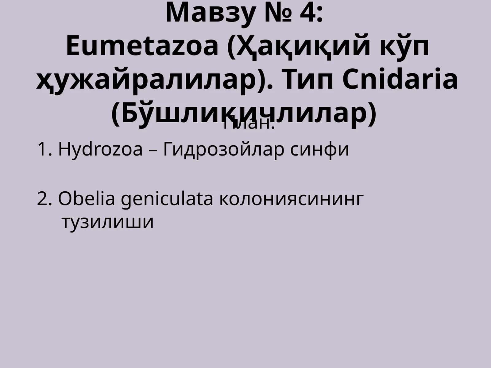Eumetazoa (Ҳақиқий кўп ҳужайралилар). Тип Cnidaria (Бўшлиқичлилар)