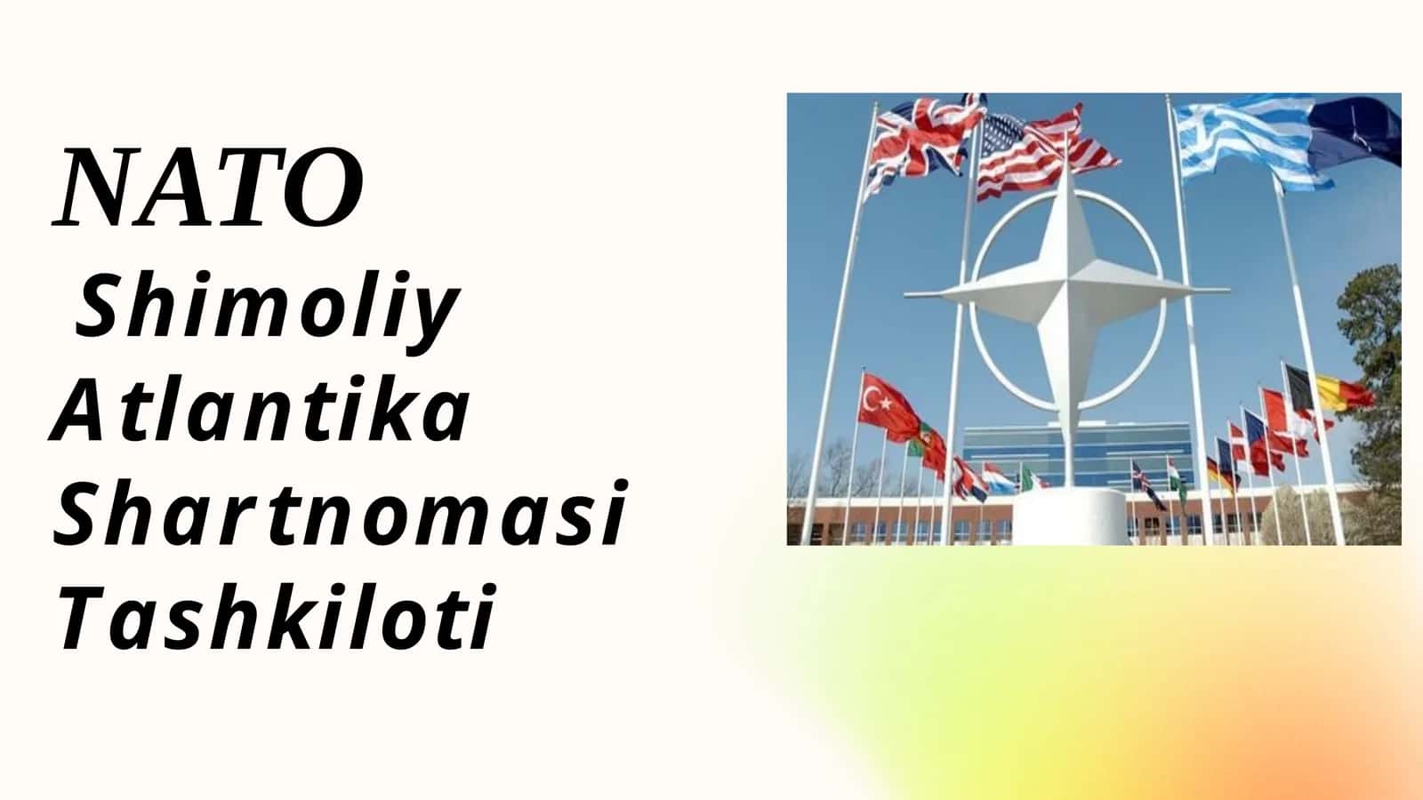 Shimoliy Atlantika Shartnomasi Tashkiloti