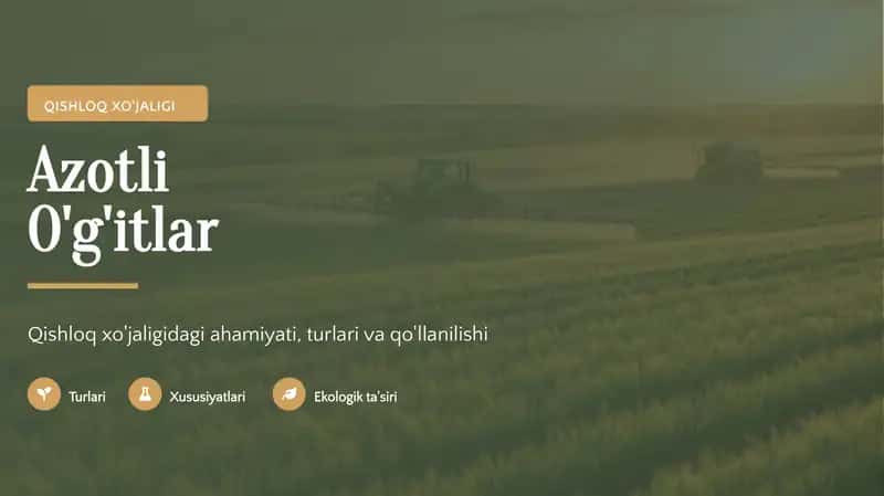 Azotli O'g'itlar