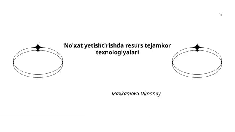 No'xat yetishtirishda resurs tejamkor texnologiyalari