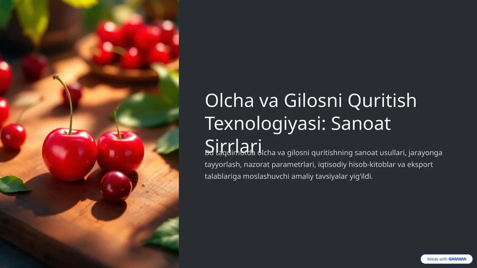 Olcha va Gilosni Quritish Texnologiyasi: Sanoat Sirrlari