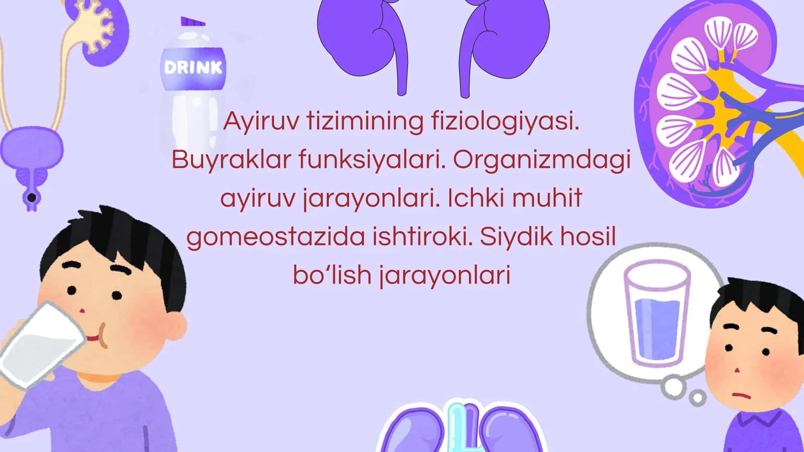 Ayiruv tizimining fiziologiyasi. Buyraklar funksiyalari. Organizmdagi ayiruv jarayonlari. Ichki muhit gomeostazida ishtiroki. Siydik hosil bo‘lish jarayonlari