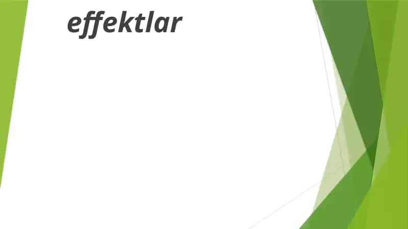 Animatsion effektlar