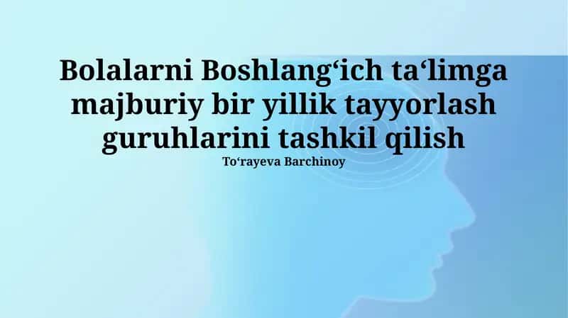 Boshlangʻich taʻlimga tayyorlash guruhlari