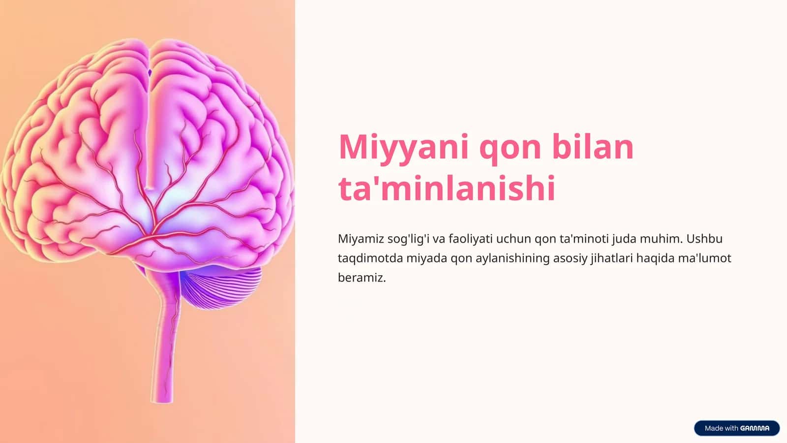 Miyyani qon bilan ta'minlanishi