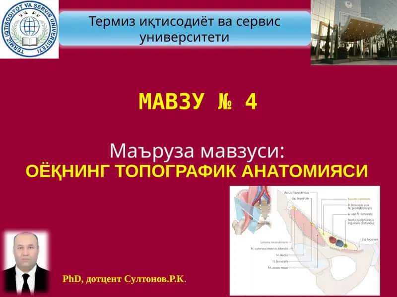 ОЁҚНИНГ ТОПОГРАФИК АНАТОМИЯСИ
