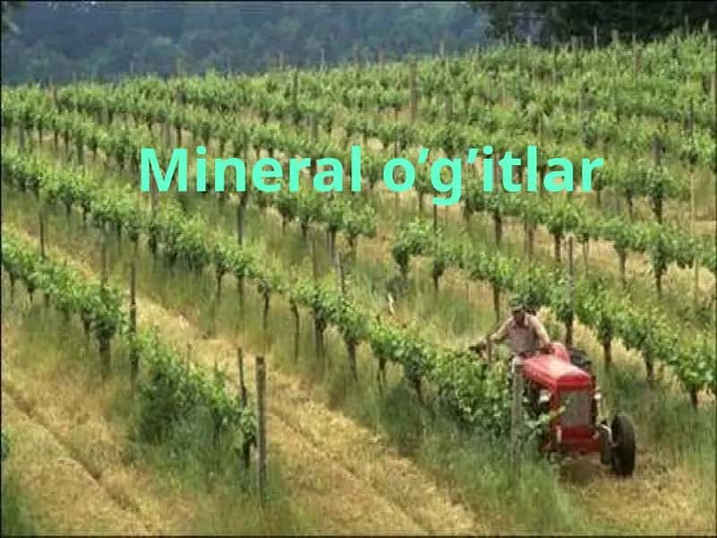 Mineral o’g’itlar