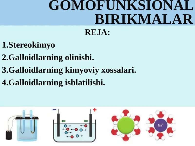 GOMOFUNKSIONAL BIRIKMALAR