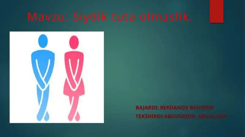 Siydiktutaolmaslik