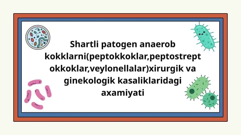 Shartli patogen anaerob kokklarni(peptokkoklar,peptostreptokkoklar,veylonellalar)xirurgik va ginekologik kasaliklaridagi axamiyati