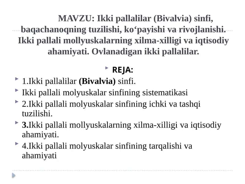Ikki pallalilar (Bivalvia) sinfi