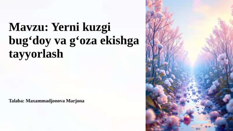 Yernikuzgi bugʻdoy va gʻoza ekishga tayyorlash