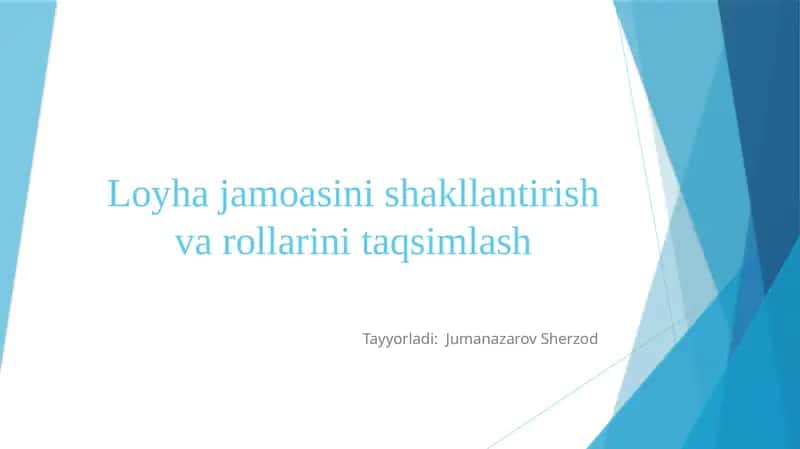 Loyhajamoasinishakllantirishvarollarinitaqsimlash