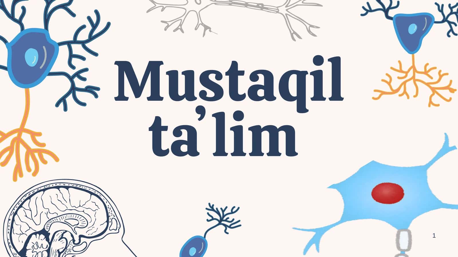 Periferik nerv tizimi va uning rivojlanishi