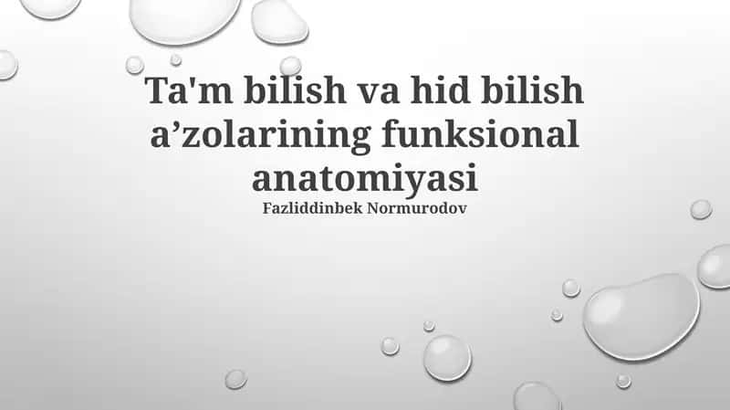 Ta'm bilish va hid bilish aʼzolarining funksional anatomiyasi