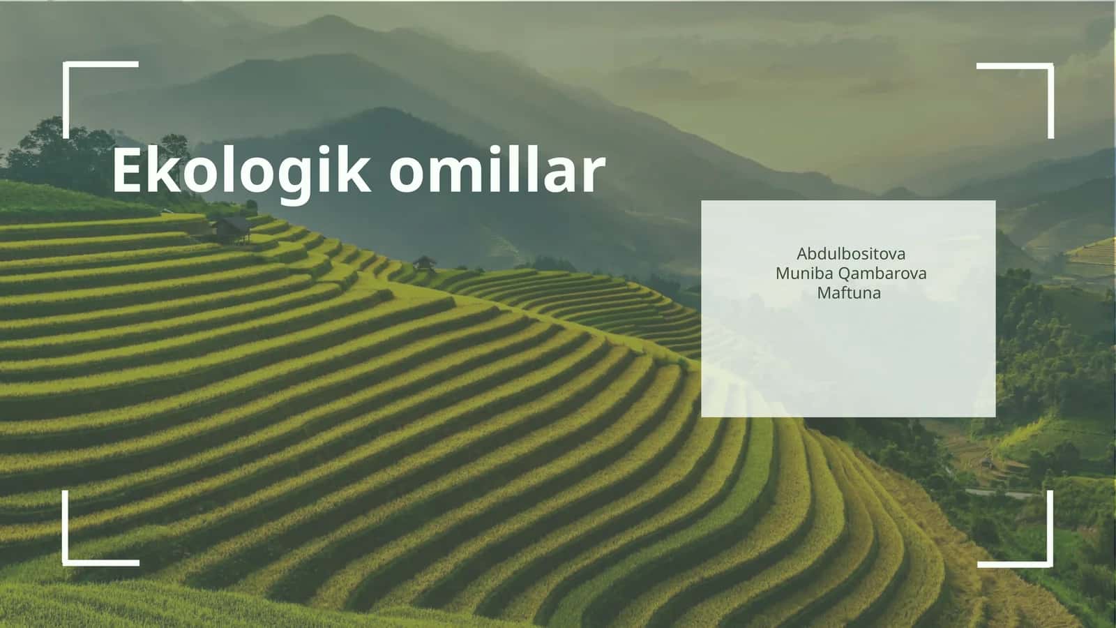Ekologik omillar