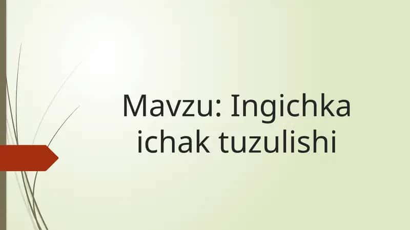 Ingichka ichak tuzulishi