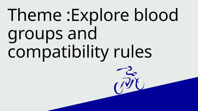 Explore blood groups and compatibility rules