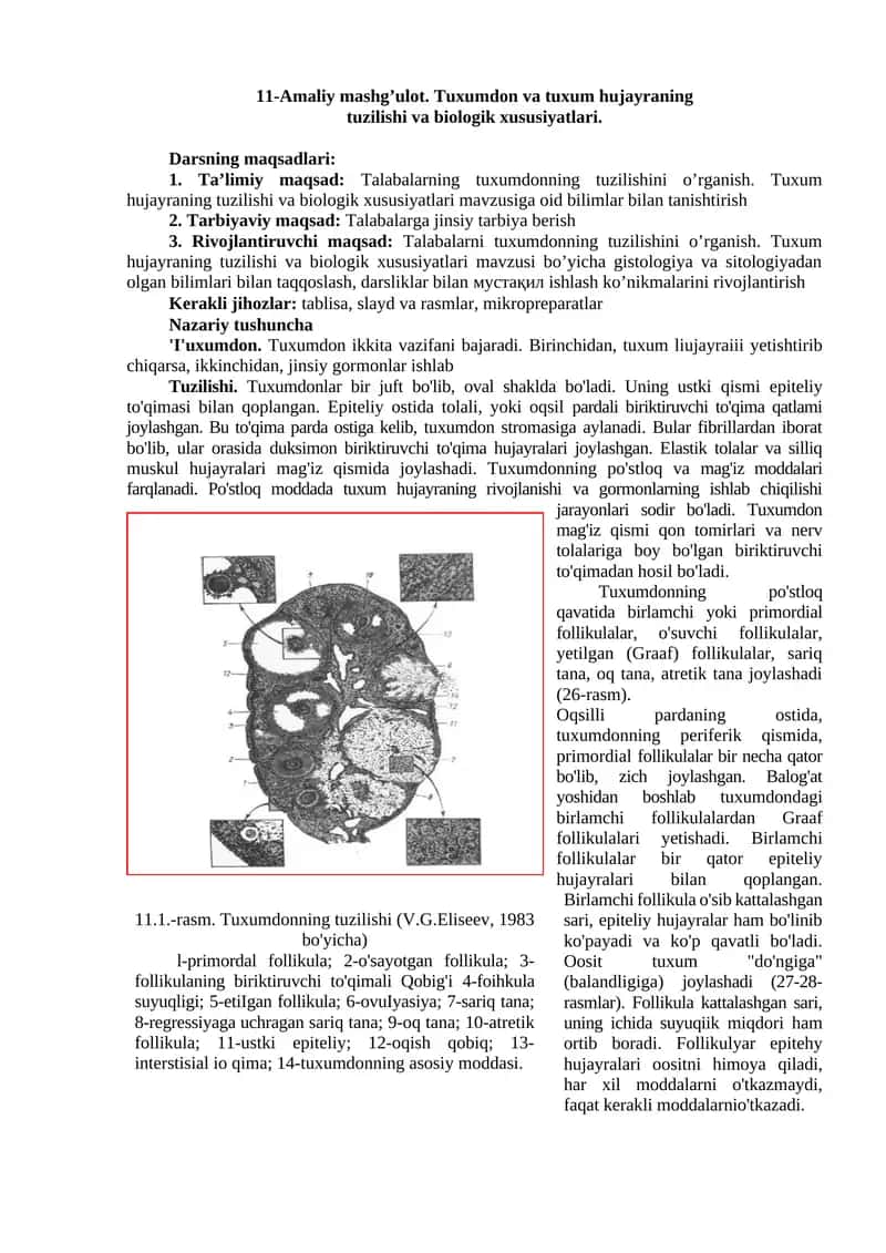 Tuxumdon va tuxum hujayraning tuzilishi va biologik xususiyatlari