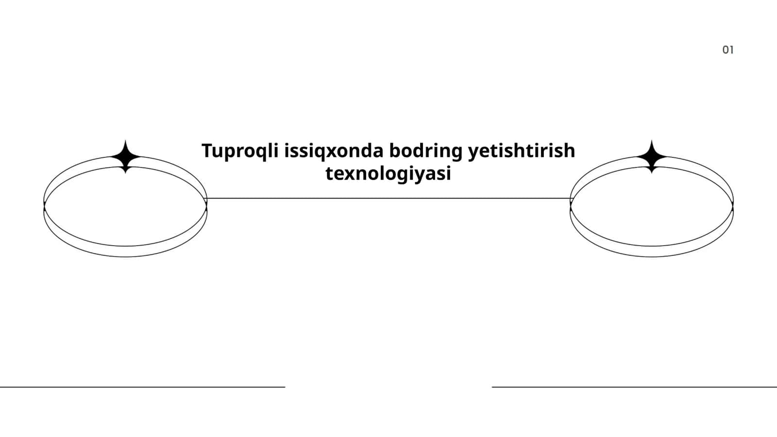 Tuproqli issiqxonda bodring yetishtirish texnologiyasi