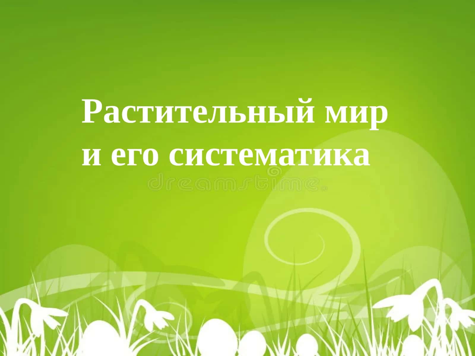Растительный мир и его систематика
