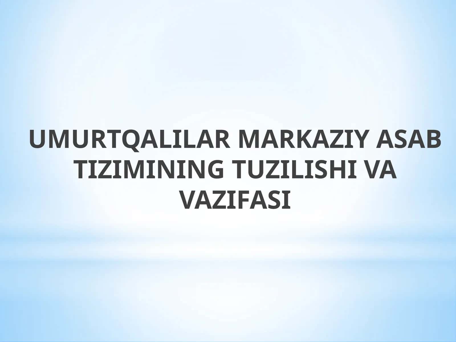 Umurtqalilar markaziy asab tizimining tuzilishi va vazifasi