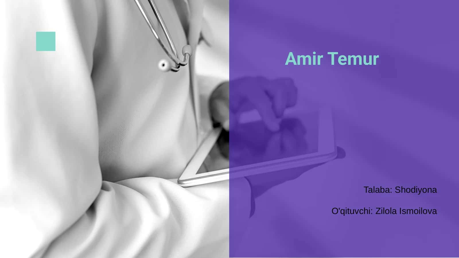 Amir Temur