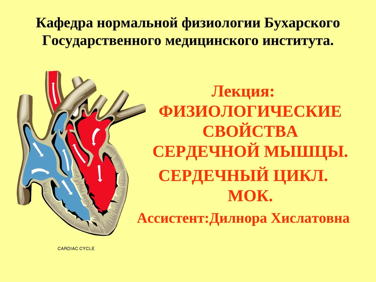 ФИЗИОЛОГИЧЕСКИЕ СВОЙСТВА СЕРДЕЧНОЙ МЫШЦЫ