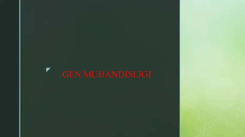 GEN MUHANDISLIGI