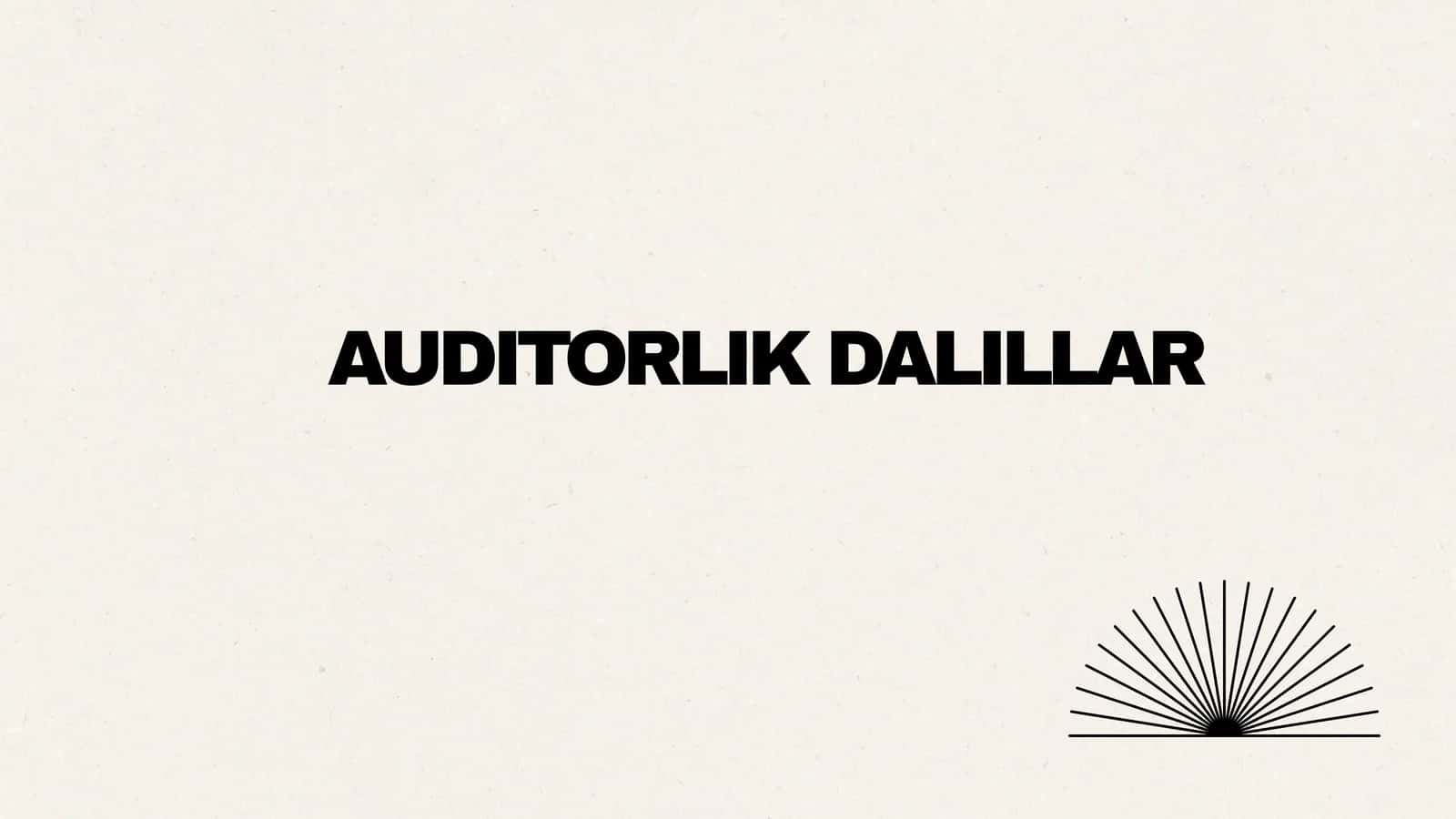 Auditorlik dalillar