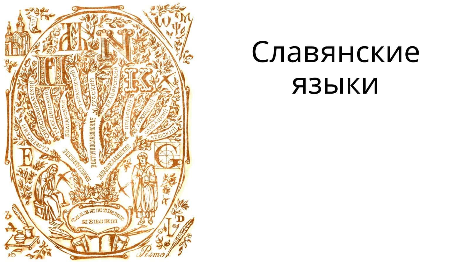 Славянские языки