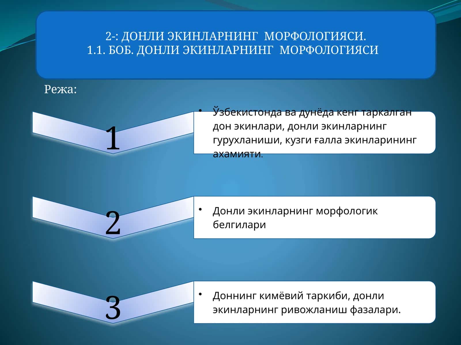 ДОНЛИ ЭКИНЛАРНИНГ МОРФОЛОГИЯСИ