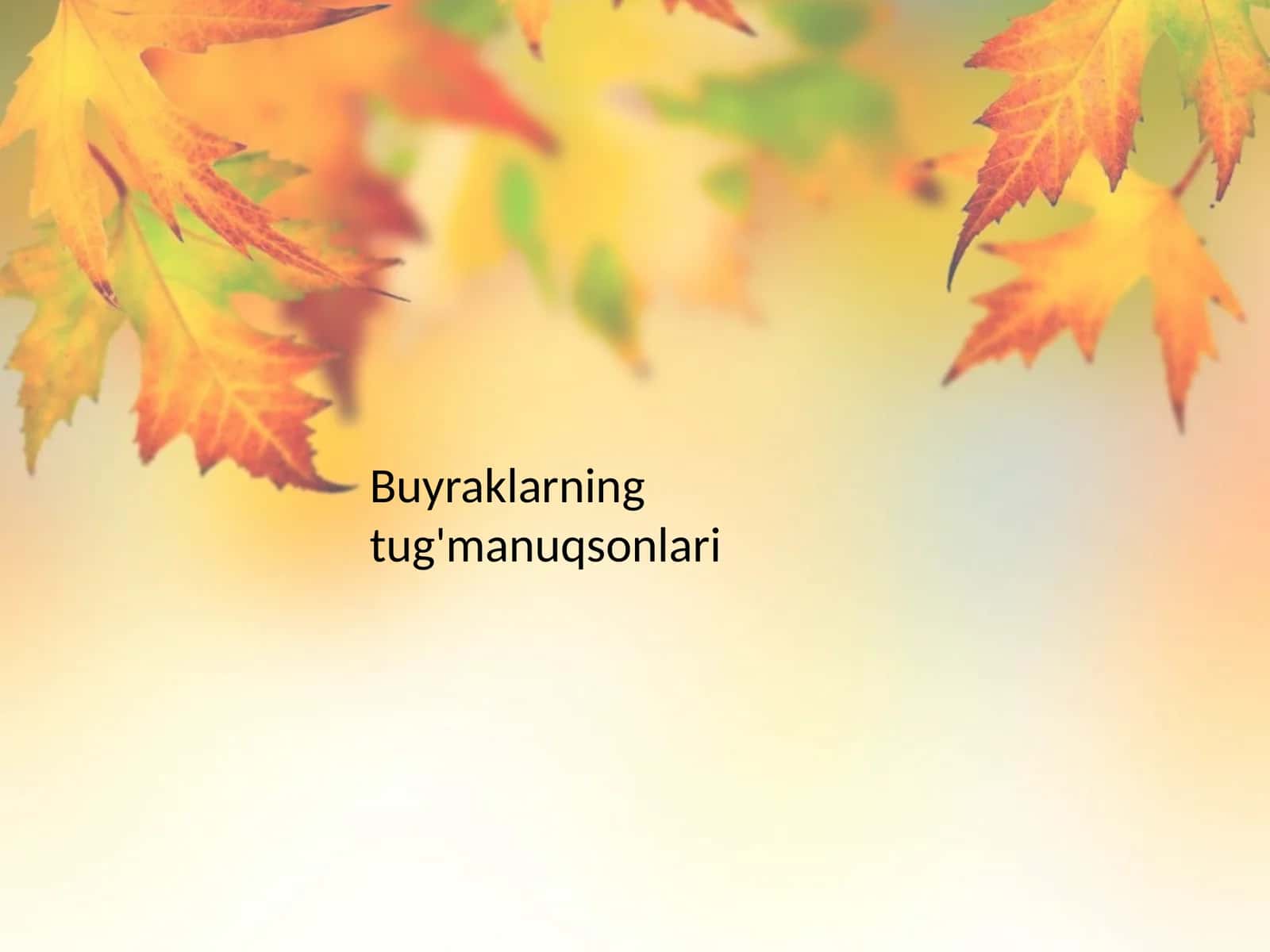 Buyraklarning tug'ma nuqsonlari