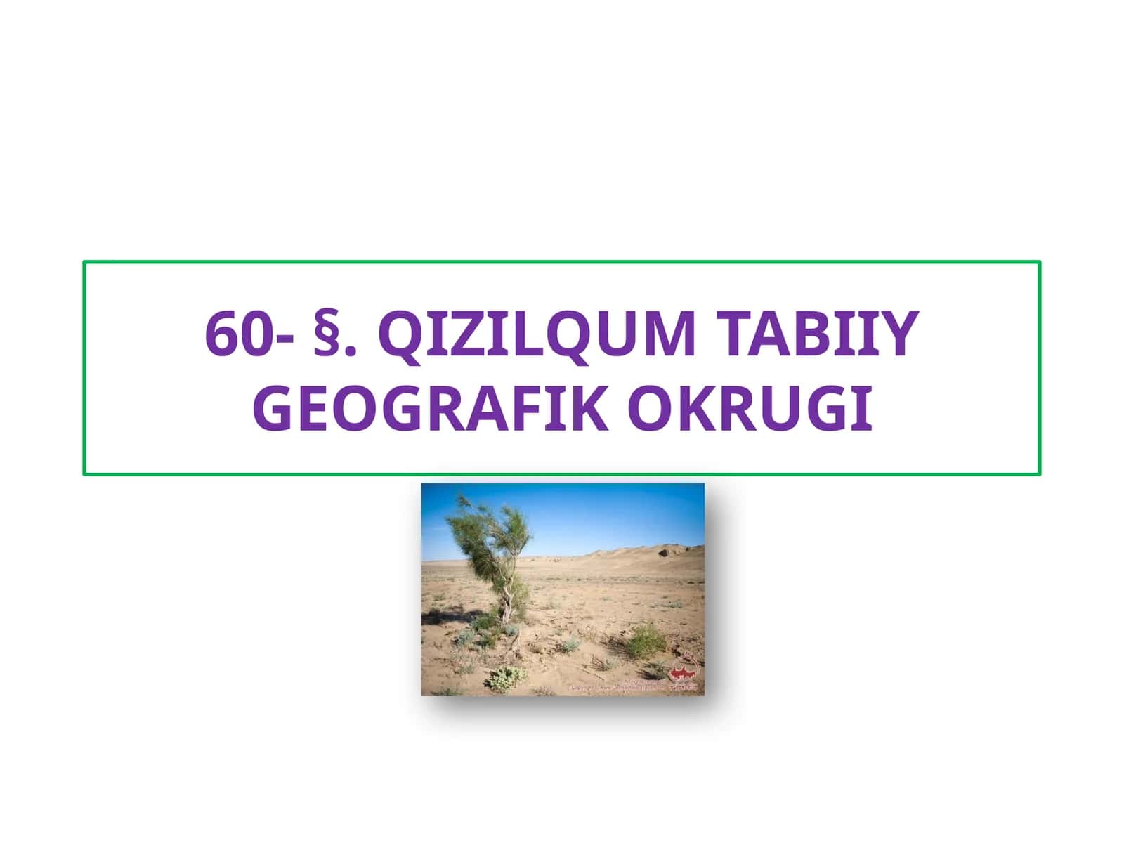 QIZILQUM TABIIY GEOGRAFIK OKRUGI