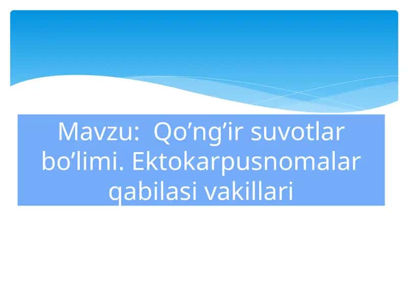 Dengiz suvotlari va ularning moddalari