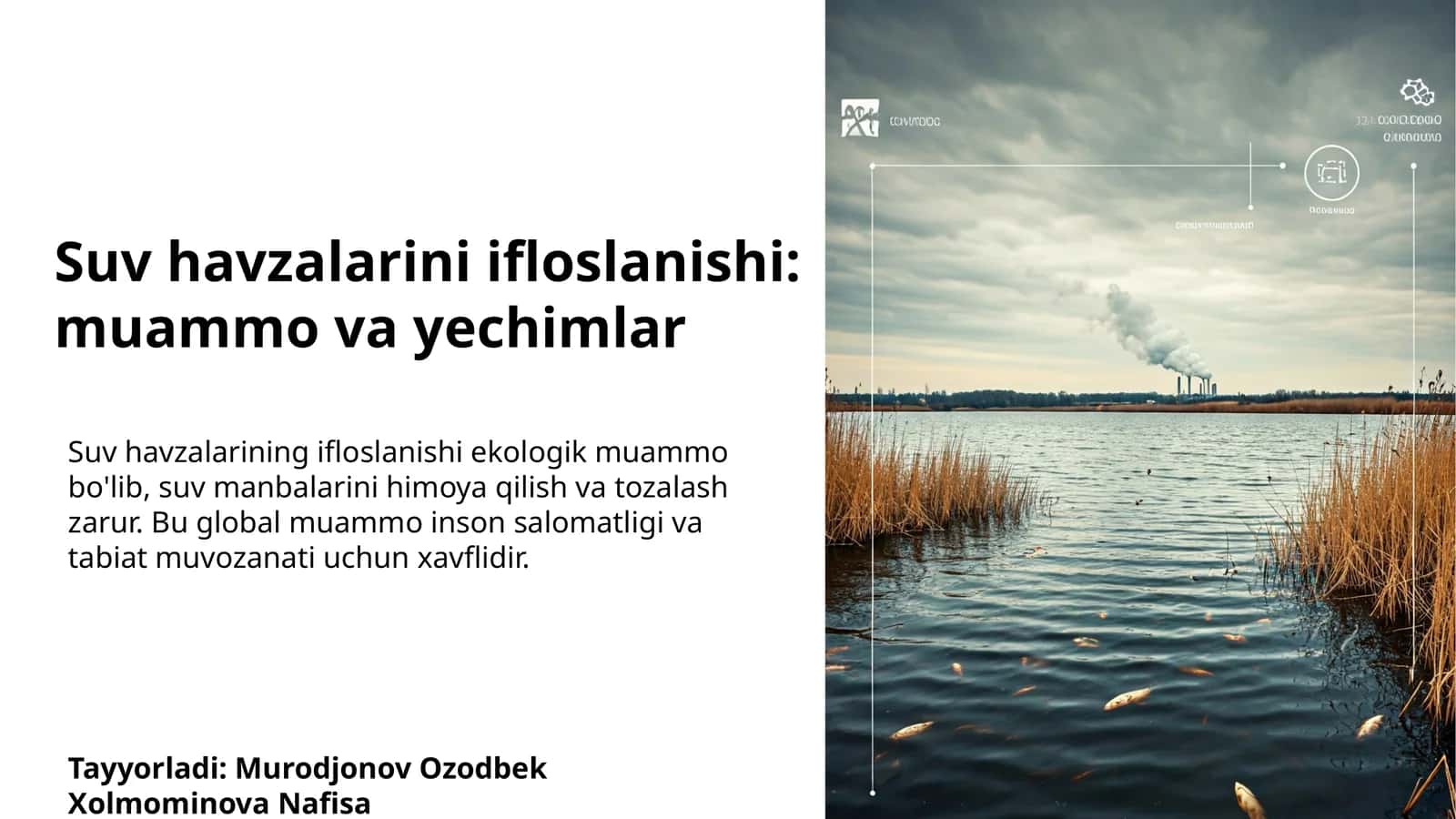 Suv havzalarini ifloslanishi: muammo va yechimlar