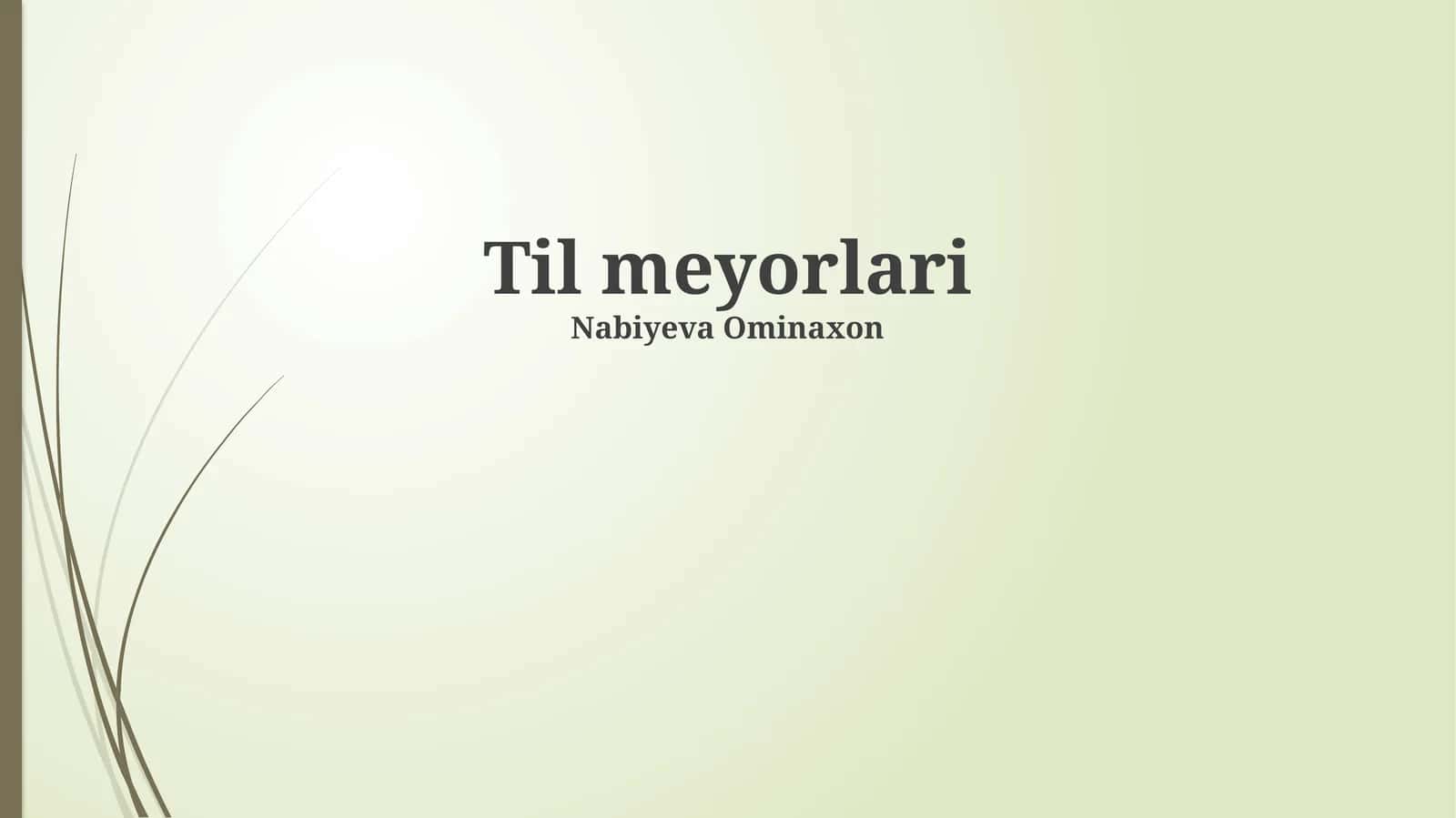 Til meyorlari