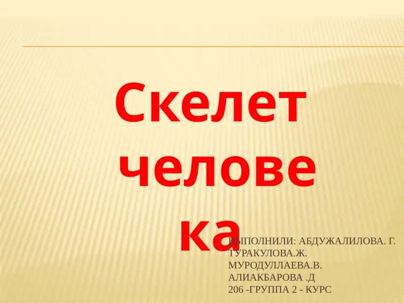 Скелет