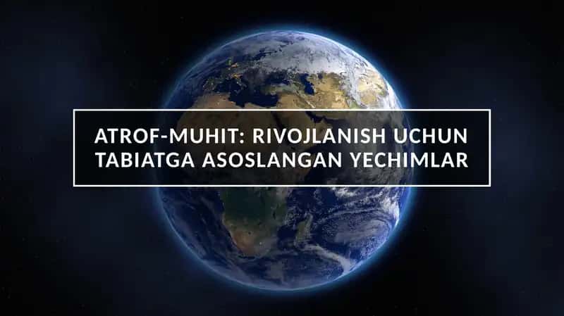 Tabiatga asoslangan yechimlar