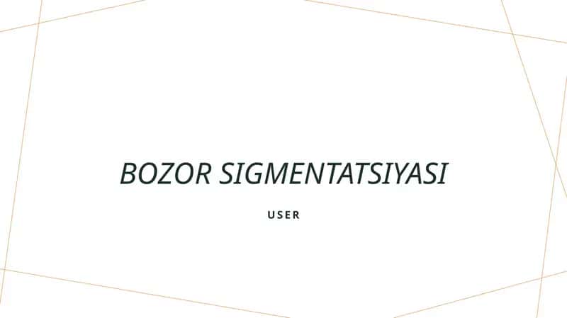 Bozor segmentatsiyasi