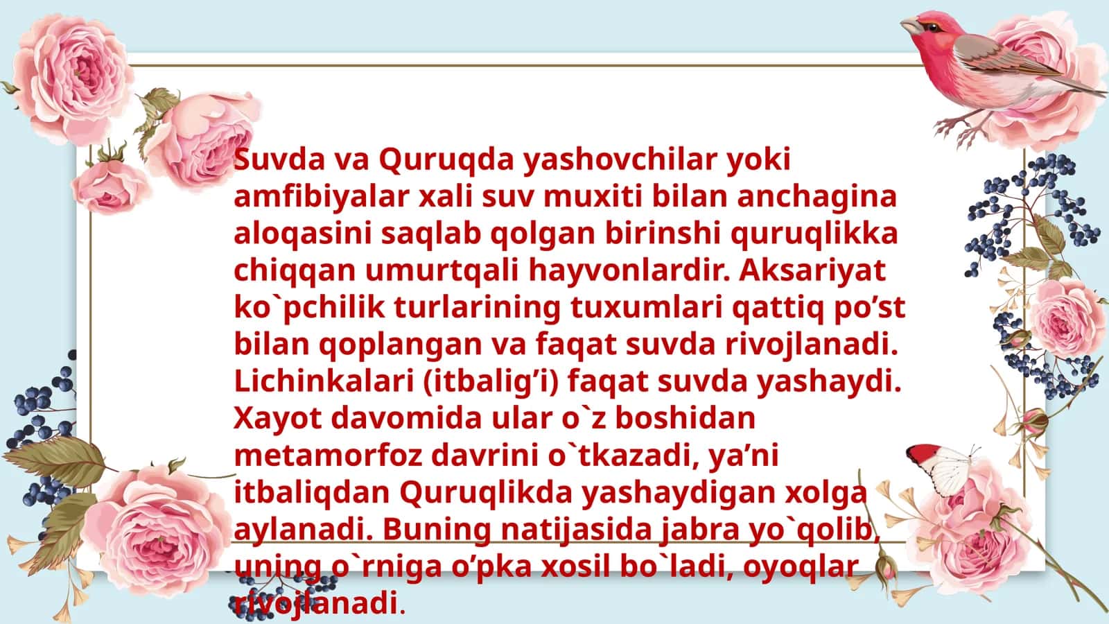 Umurtqali Hayvonlar