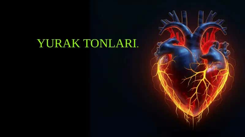 YURAK TONLARI