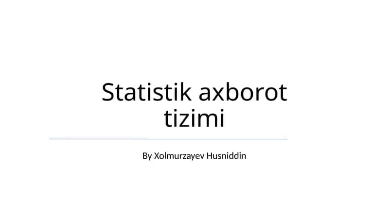 Statistik axborot tizimi