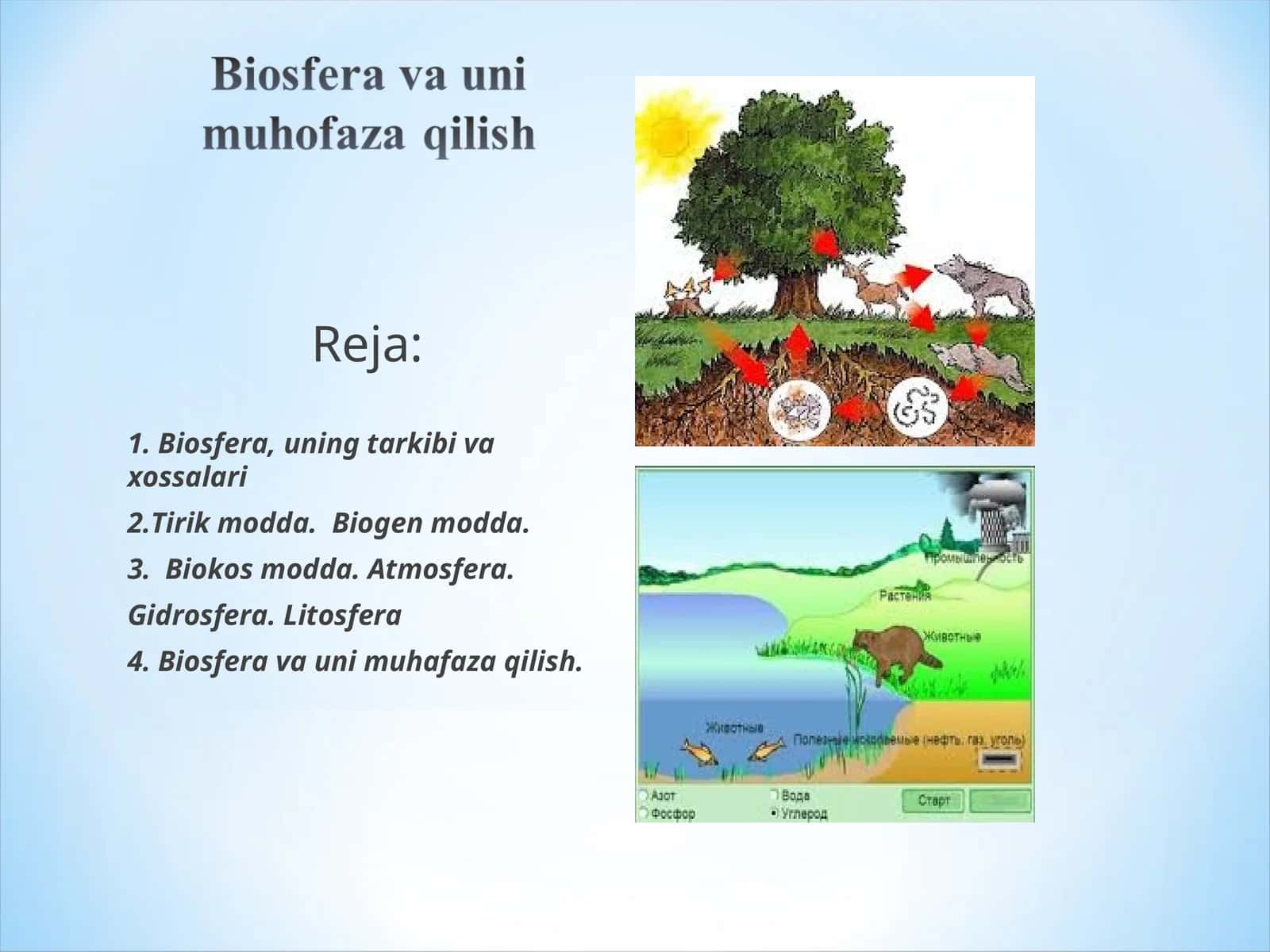 Biosfera, uning tarkibi va xossalari