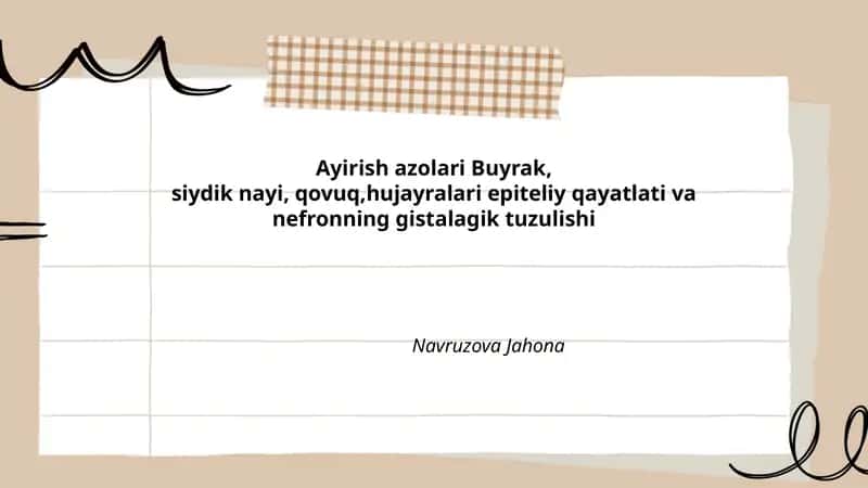 Ayirish azolari Buyrak va nefronning tuzilishi