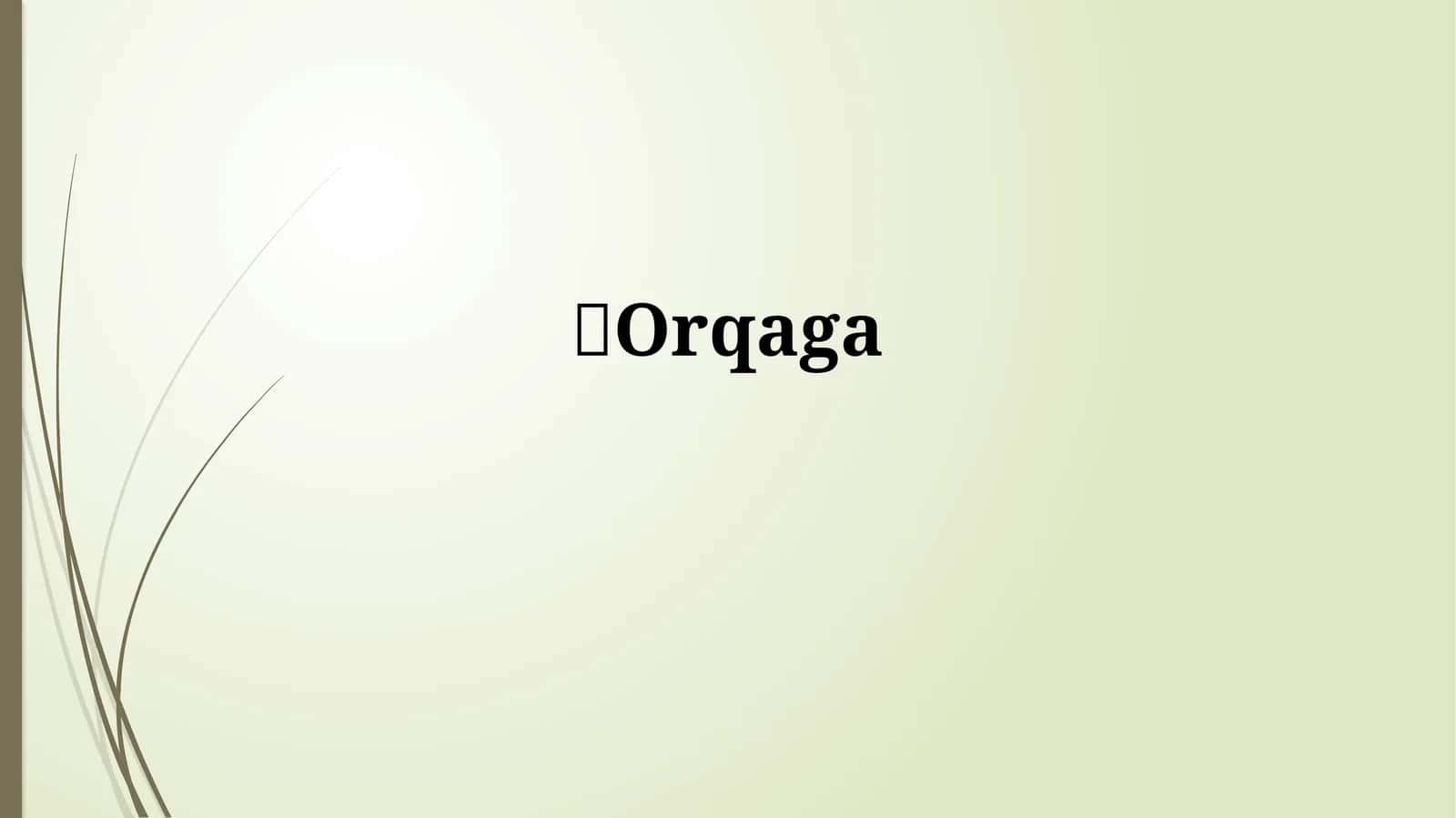 Orqaga tushunchasi